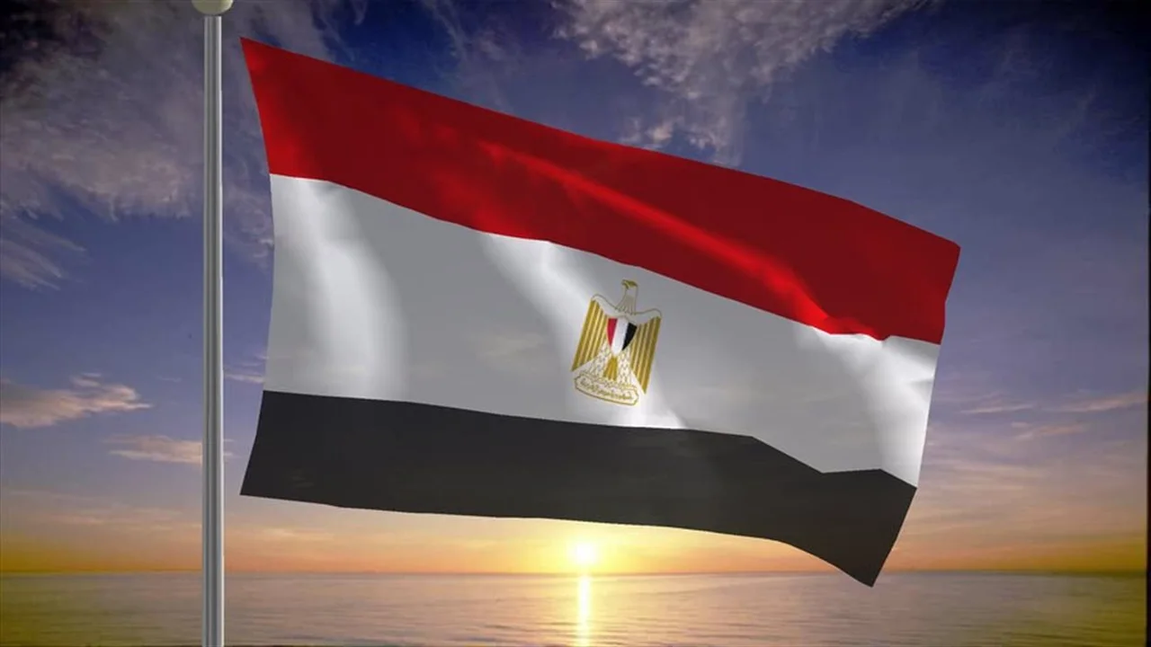 استثمارات 65 مليار دولار تعزز طفرة الكوميسا التاريخية بقيادة مصر في الأونكتاد